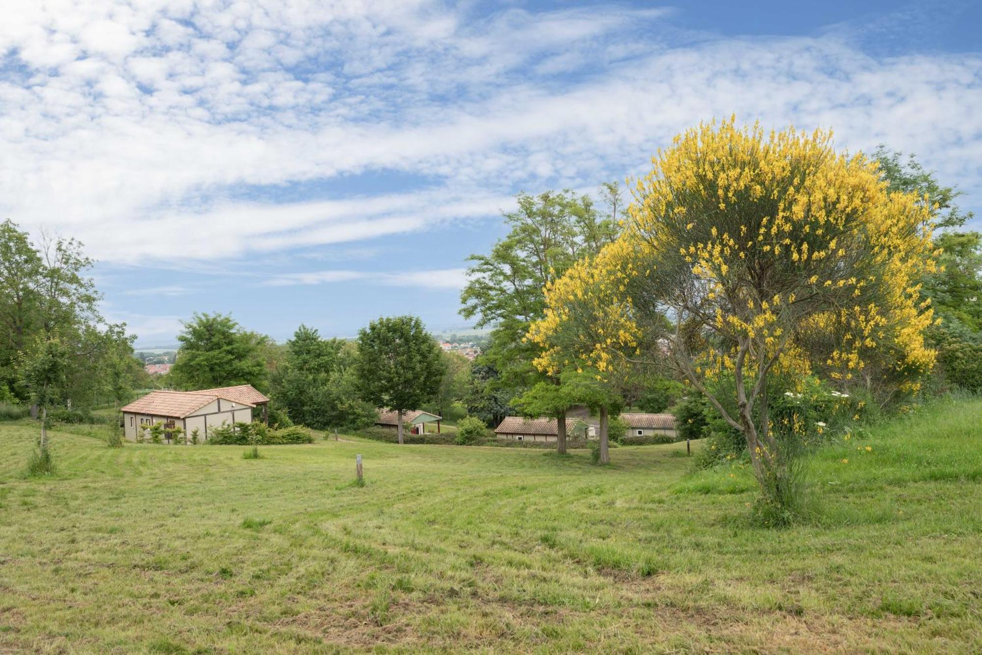 Camping Le Mont Libre - Cottage & Espace Nature - גנה מראה חיצוני תמונה